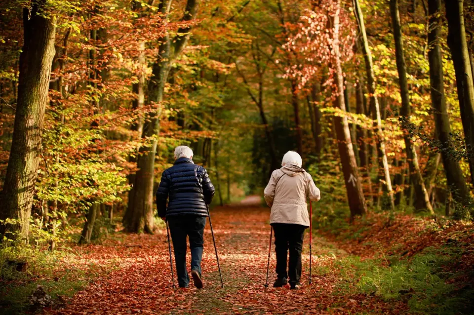 elderly, couple, walking, trail