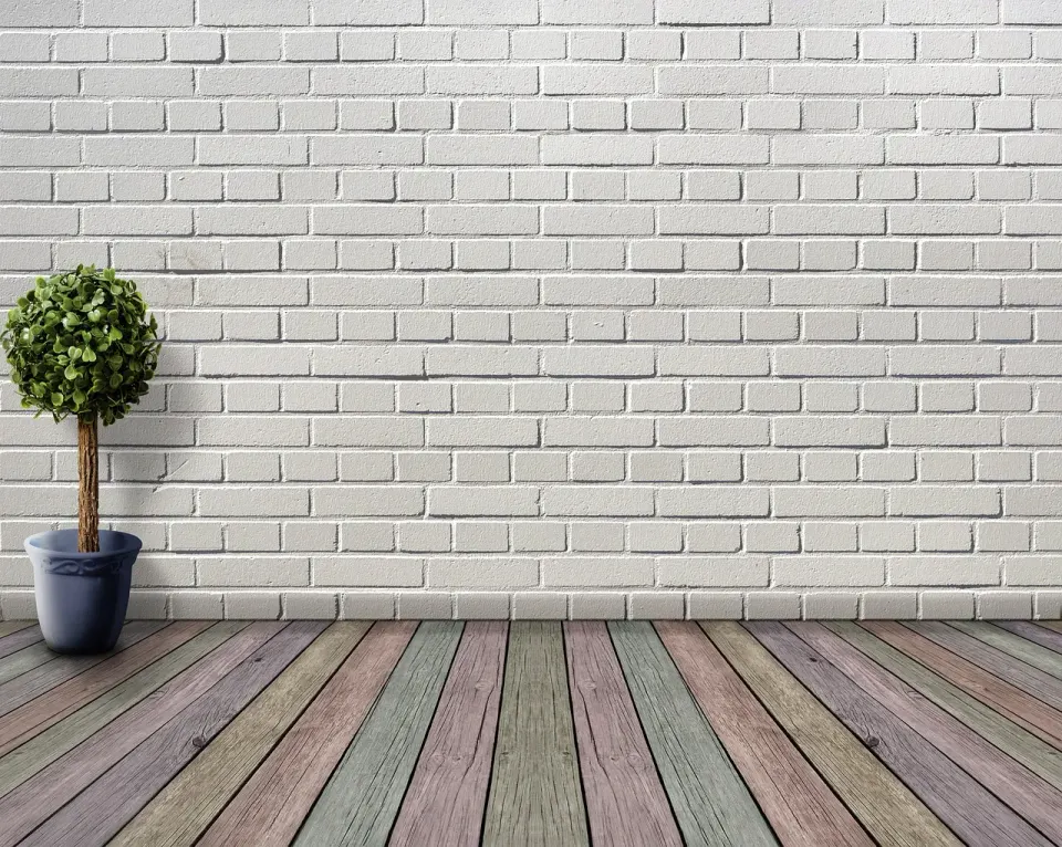 space, empty, wooden floor, plant