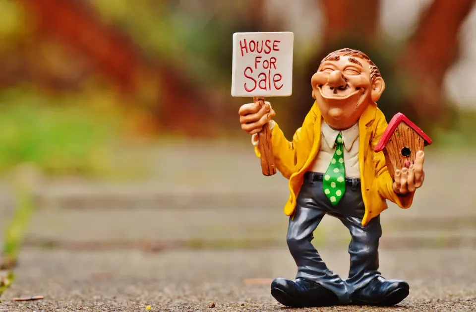 real estate agent, house, selling, fun