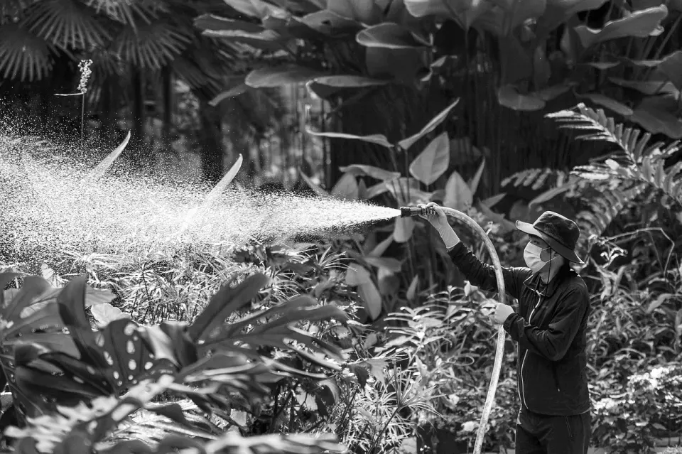 A handheld garden sprayer used for watering and treating plants