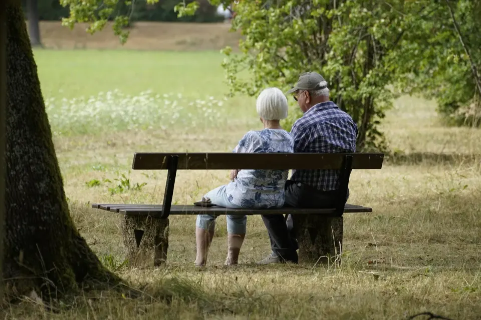 retiree, pensioners, elderly, couple