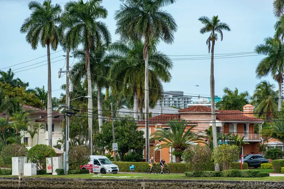 neighborhood, palm trees, bicycling, florida