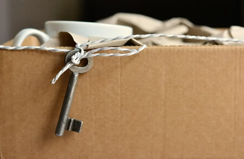move, key, new apartment, catchment